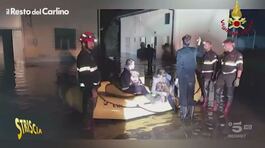 Reggio Emilia, i moderni Noè salvano gli animali dall'alluvione thumbnail