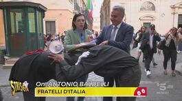Ad Halloween i mostri che spaventano di più zia Elly sono i poveri thumbnail