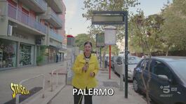 Palermo, che confusione per la corrente elettrica delle paline thumbnail