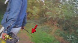 Borgomanero, uno sparo per intimidire Brumotti e il cameraman thumbnail