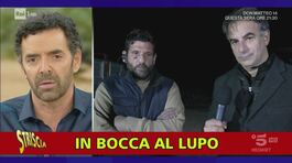 Lupi, mezzi pubblici e vulcani dalla strana altitudine: ecco i vostri video-Frix! thumbnail