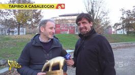 «Conte e Grillo? Non ricordo un momento in cui sono andati d'accordo». Tapiro d'oro a Davide Casaleggio thumbnail