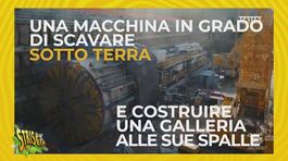 Margherita, la talpa che a Cefalù (Palermo) fa tremare le case thumbnail