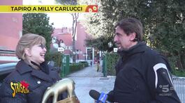 Tapiro d'oro a Milly Carlucci per il pasticcio del "caso Mariotto" thumbnail