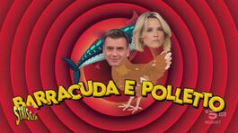 Barracuda e Polletto, una una coppia che non riesce mai a mettersi d'accordo su nulla… thumbnail