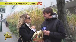 Tapiro d'oro col corno portafortuna a Barbara d'Urso, da un anno lontana dai riflettori tv thumbnail