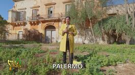 Villa Maltese, un patrimonio di Palermo confiscato e… abbandonato thumbnail