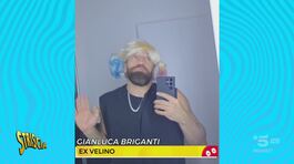 Le ex veline Maddy e Thais vorrebbero candidarsi per tornare sul bancone di Striscia? thumbnail