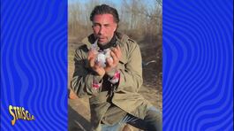 Anticipazione - Mezzo chilo di droga trovato da Vittorio Brumotti durante un servizio "antispaccio" a Pavia. thumbnail