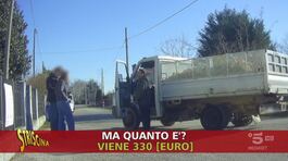 Truffe sulla legna da ardere: non preoccupatevi, arriva Quintals! thumbnail