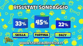 Benvenuta Tortina! thumbnail