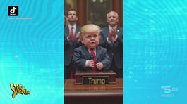 Baby Trump balla sulle note di Y.M.C.A. thumbnail