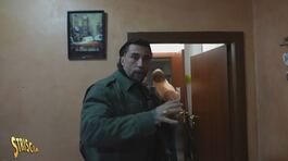 Anteprima - Parma, spaccio di droga dal bar al parco giochi. Il servizio di Vittorio Brumotti thumbnail
