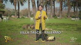 A Palermo il Carnevale dei supereroi della natura all'insegna dell'ecologia thumbnail