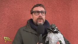 Scoop di Striscia la notizia sul festival di Sanremo: Olly sarebbe stato agevolato anche durante la seconda esibizione thumbnail
