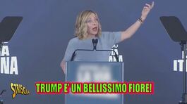 Trump danza (e canta) tra le perdite: 800.000 investitori al tappeto. E Highlander Dj gli dedica una hit.. thumbnail