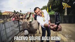 "Volevo essere un mulo": la nuova hit del Grande Flagello thumbnail