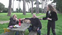 Vivere al meglio il legame con i cani: ecco come cogliere questa opportunità thumbnail