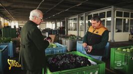 Rampello e gli agricoltori della centrale ortofrutticola di Tarquinia (Viterbo) thumbnail