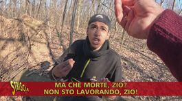 Centrale di spaccio tra Como e Varese: anche una grande bisarca si ferma sulla rotonda per il rifornimento di cocaina thumbnail