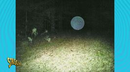 Orbs, le sfere luminose sono segni della presenza di esseri extradimensionali? thumbnail