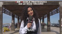 Tifosi del Bari in subbuglio: la squadra dovrà giocare per un anno nello stadio del Cerignola? thumbnail