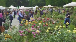 Castello di Masino (TO): "Il giardino possibile. Il tempo, la cura" thumbnail