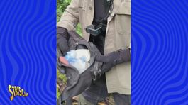 Settala (MI), un borsello pieno di cocaina recuperato da Vittorio Brumotti thumbnail