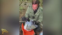 Anticipazione - Vittorio Brumotti smantella un altro campo base di spaccio a Origgio (VA)