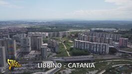 Librino di Catania: c'è chi non ha perso la speranza e prova a portare "bellezza" nel quartiere thumbnail