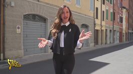 Dal marchio "Apericane" al "Tiramisù" per cani: torna il caso della signora di Carpi thumbnail