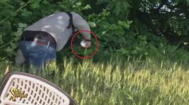 Anticipazione - Maxi piazza di spaccio scoperta da Vittorio Brumotti nei boschi di Saronno (VA) thumbnail