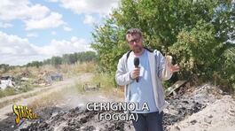 A Cerignola alcuni documenti del Comune dati alle fiamme nelle campagne thumbnail