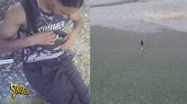 Martinengo, lo spacciatore vendi-morte si lancia nel fiume e tra i campi di mais per scappare da Brumotti thumbnail