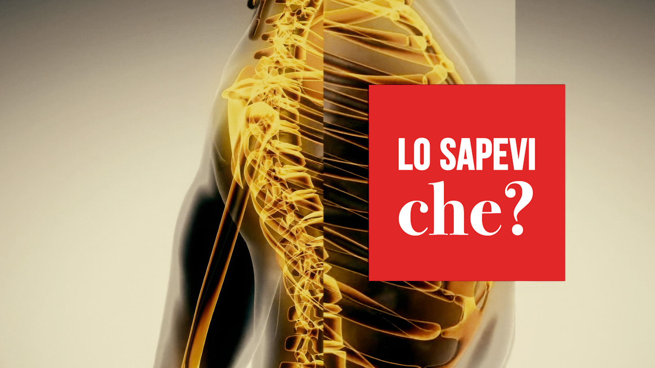 Lo sapevi che?