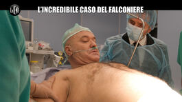 CORDARO: L'incredibile caso del falconiere thumbnail