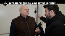 ANDREETTA: Ecco perché quel salmone poteva uccidere thumbnail