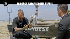 VIVIANI: La pesca illegale delle seppie