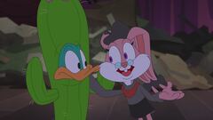Baby Bunny regista