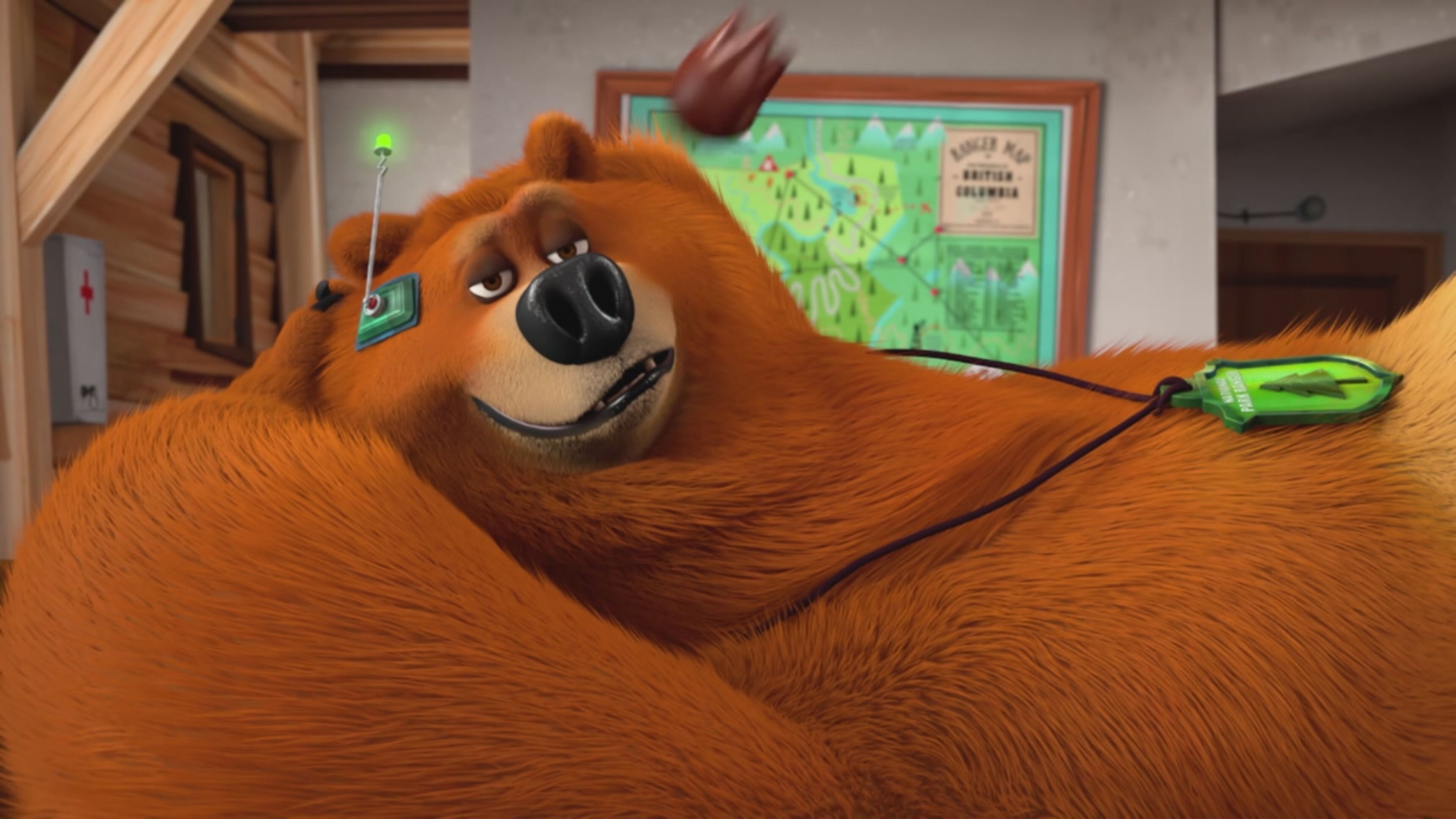 L'orso e la robotica