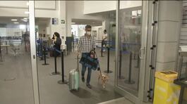 Rivoluzione nel trasporto aereo, sì a cani e gatti in cabina thumbnail