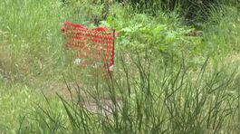 Roma, al parco erbaccia, spazzatura e transenne abbandonate thumbnail