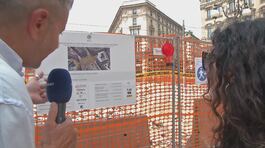Le piazze senza alberi, un altro capolavoro del sindaco green Sala thumbnail