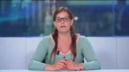 Revoca dell'immunità, l'appello della Salis agli Europarlamentari thumbnail