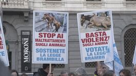 Il carcere e maximulte, è in vigore la legge Brambilla thumbnail