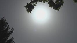 Il giorno più caldo, 20 città da bollino rosso, ricoveri boom thumbnail