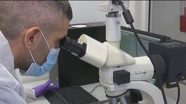 Dna maschile ignoto trovato nella bocca di Chiara Poggi thumbnail