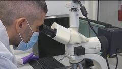 Dna maschile ignoto trovato nella bocca di Chiara Poggi