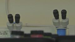 Il dna di un "ignoto" riscrive il giallo di Garlasco
