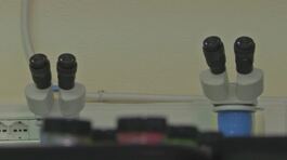 Il dna di un "ignoto" riscrive il giallo di Garlasco thumbnail